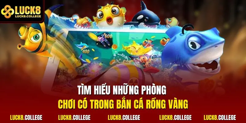 Tìm hiểu những phòng chơi có trong bắn cá rồng vàng