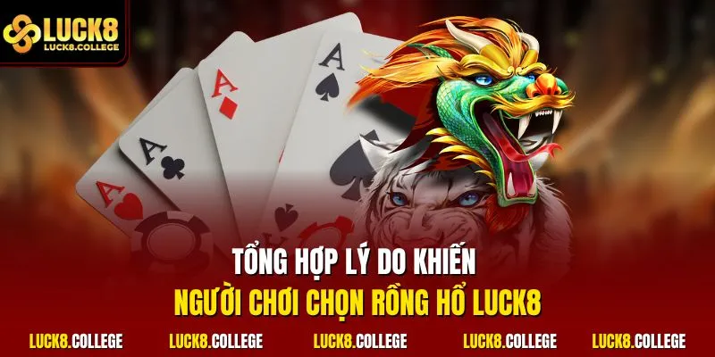 Tổng hợp lý do khiến người chơi chọn Rồng Hổ LUCK8